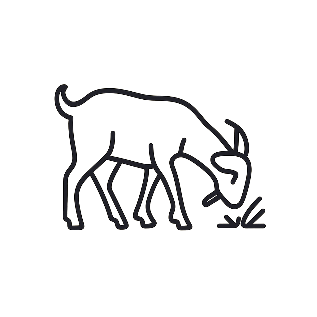 Goats On The Go Boulder